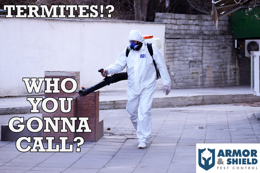 Cover photo of Armor and Shield Pest Control